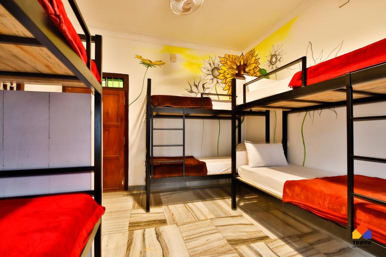 Trippr Alleppey - Backpacker Hostel Alappuzha Exteriér fotografie